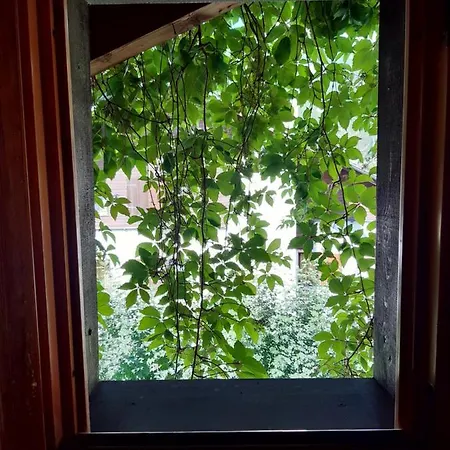 Apartament Blanc 